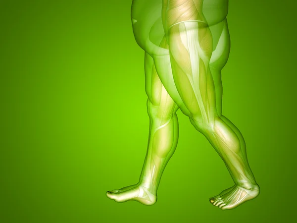 Konzept oder konzeptionelle 3D-Fett-Übergewicht vs schlank fit Ernährung mit Muskeln junger Mann grünen Gradienten Hintergrund — Stockfoto
