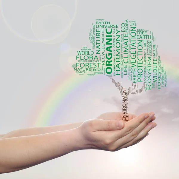 Concept or conceptual green ecology text word cloud tree in man or woman hand on rainbow sky background — Stockfoto