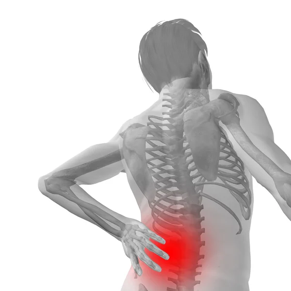 Концепция высокого разрешения или концептуальная 3D мужской или мужской анатомии человека с болью в спине изолированы на белом фоне — стоковое фото
