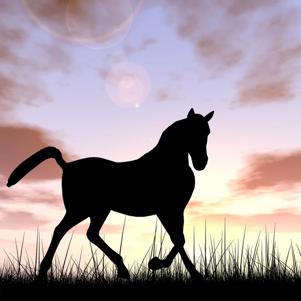 Černý kůň silueta — Stock fotografie