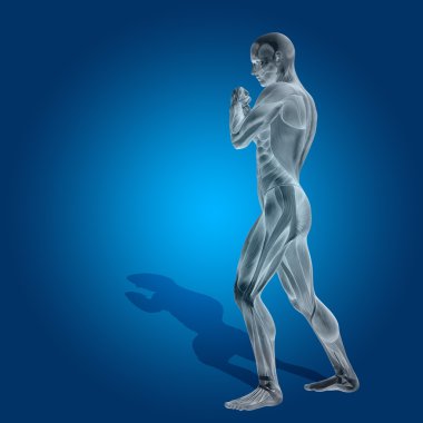 Kavram ya da kavramsal stong insan ya da adam 3d anatomi vücut kas sağlık veya spor üzerinde mavi arka plan ile