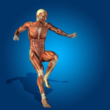 Kavram ya da kavramsal stong insan ya da adam 3d anatomi vücut kas sağlık veya spor üzerinde mavi arka plan ile
