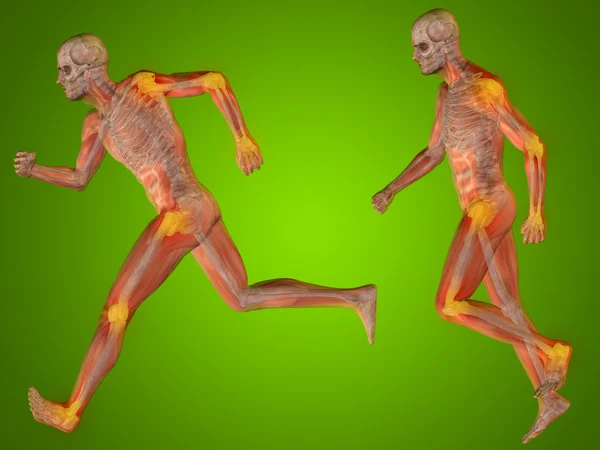 Conceito ou conceitual 3D homem humano ou dor esqueleto masculino ou dor anatomia corpo transparente, fundo verde — Fotografia de Stock