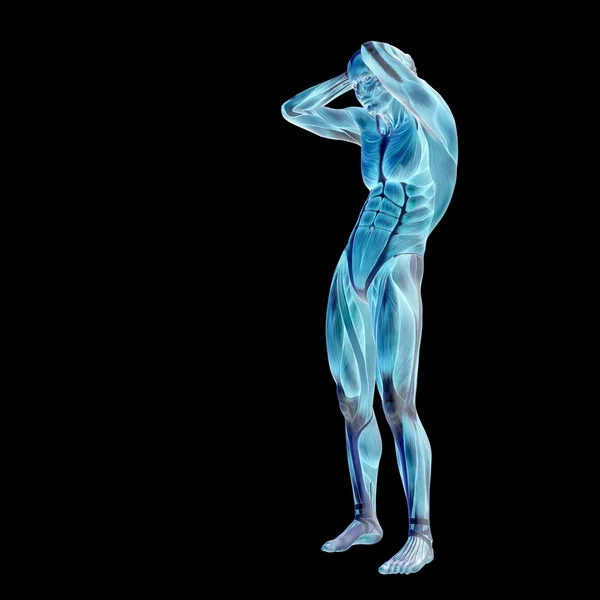 3D humano u hombre con músculos para diseños de anatomía o deporte. Un macho aislado sobre fondo negro — Foto de Stock