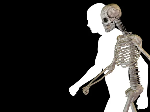 Human or male 3D anatomy with bones or skeleton and face or skull details isolated on black background — Stock Photo, Image