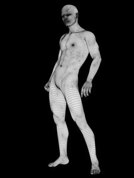 Anatomía humana o masculina 3D hecha de alambre blanco o malla, un hombre aislado sobre fondo negro — Foto de Stock