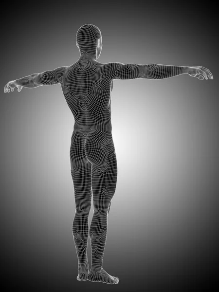 Έννοια ή εννοιολογική 3d ματιών ή wireframe αρσενικό ή άνθρωπος ανατομία στέκεται πέρα από το μαύρο και άσπρο υπόβαθρο — Φωτογραφία Αρχείου