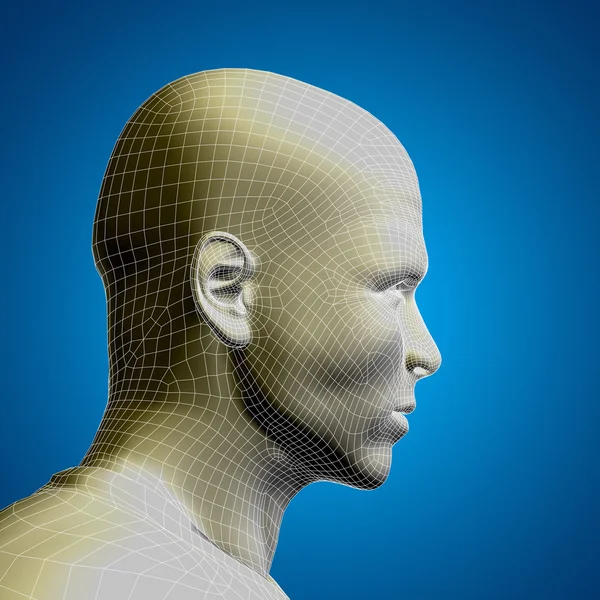 Conceito ou conceitual 3D wireframe jovem homem ou homem rosto ou cabeça no fundo azul — Fotografia de Stock