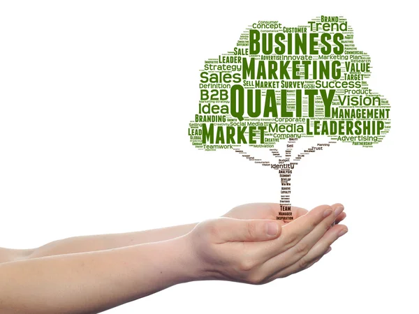 Business oder Marketing Word Cloud — Stockfoto