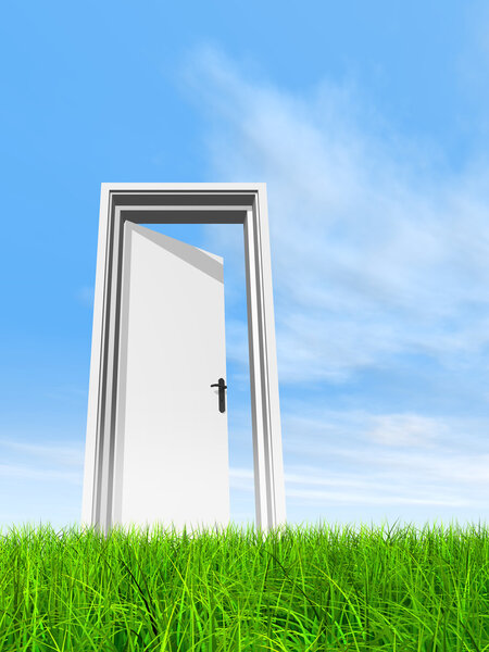 Зеленая, свежая и натуральная трехмерная трава на голубом фоне неба, открытая дверь на заднем плане.
