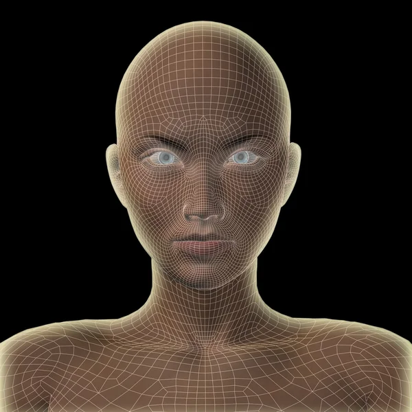 Concepto de alta resolución o conceptual 3D cabezal femenino humano aislado sobre fondo negro — Foto de Stock