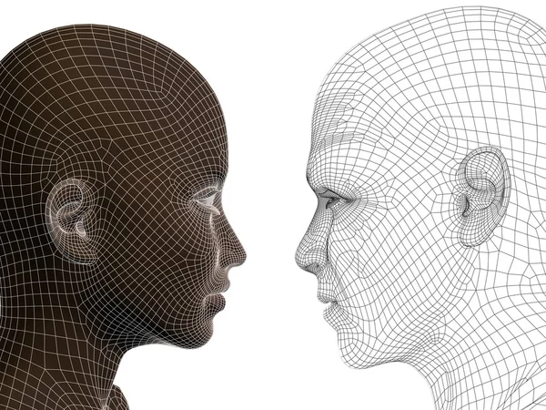 Concept haute résolution ou concept 3D filaire tête humaine mâle ou femelle isolé sur fond — Photo