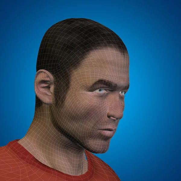 Concept ou conceptuel 3D wireframe jeune homme ou homme visage ou tête sur fond bleu — Photo