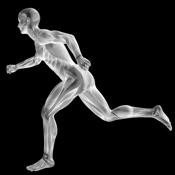3D człowieka lub człowieka z mięśni do anatomii lub sportu wzorów. Mężczyzna na białym tle na czarnym tle — Zdjęcie stockowe