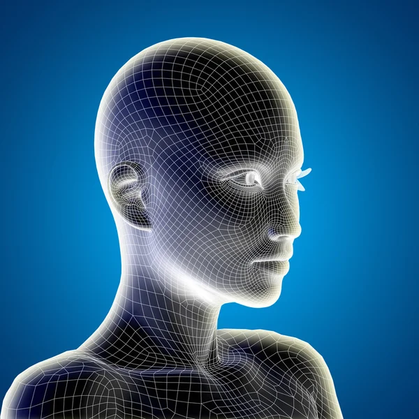 Concepto o conceptual 3D wireframe joven humano mujer o mujer cara o cabeza sobre fondo azul degradado — Foto de Stock