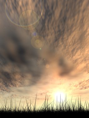 Kavram ya da kavramsal siyah ot ya da bitki alan veya çayır siluet bulutlar arka plan ile günbatımında bir gökyüzü üzerinde yaz veya bahar akşamları