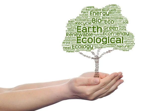 Conceito ou conceitual verde ecologia texto palavra nuvem árvore no homem ou mulher mão isolada no fundo branco — Fotografia de Stock