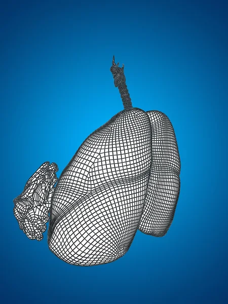 개념이 나 개념적 해부학 인간 여자 3d 와이어 프레임 메쉬 호흡기 폐와 가슴에 파란색 배경 — 스톡 사진