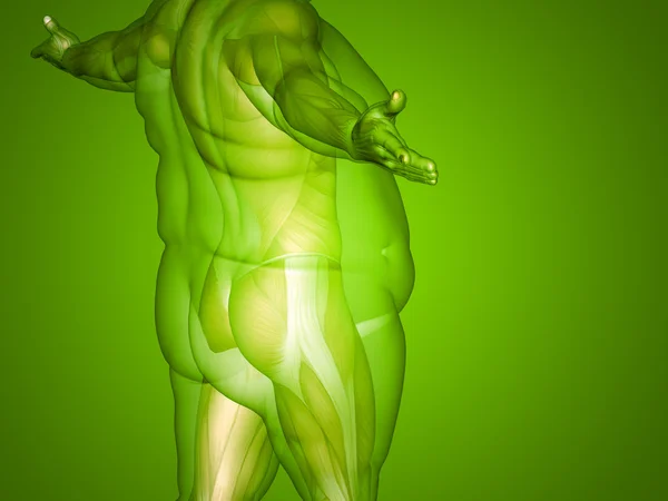 Концепция или концептуальные 3D жир лишний вес против стройный диета с мышцами молодой человек зеленый градиентный фон — стоковое фото