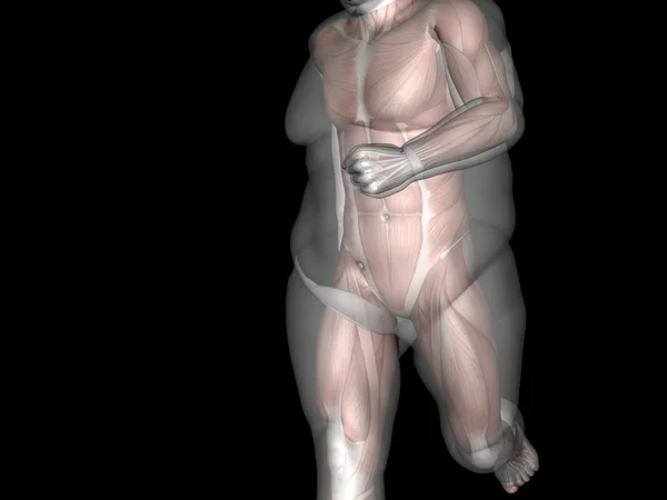 Conceito ou conceitual 3D de gordura sobrepeso vs dieta slim fit com músculos jovem isolado em fundo preto — Fotografia de Stock