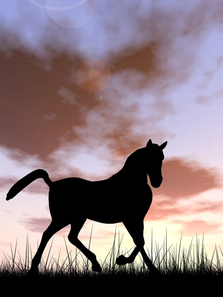 Conceito ou conceitual jovem bela silhueta de cavalo preto na grama ou prado sobre um céu ao pôr do sol paisagem fundo — Fotografia de Stock