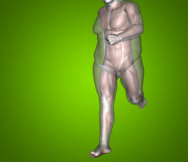Concetto o concettuale 3D grasso sovrappeso vs dieta slim fit con muscoli giovane uomo sfondo gradiente verde — Foto Stock