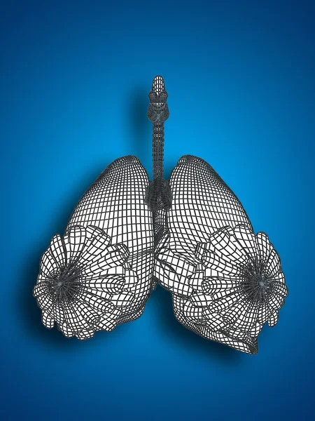 Concepto o conceptual anatómica mujer humana 3D wireframe malla respiratoria con pulmones y pechos sobre fondo azul — Foto de Stock