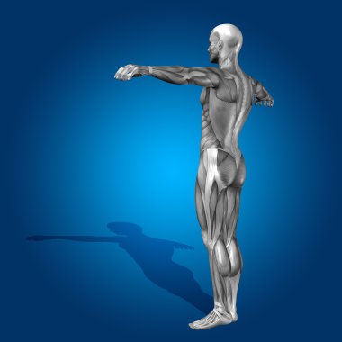 kavramsal stong insan