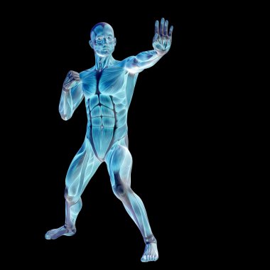 İnsan ya da kaslı adam