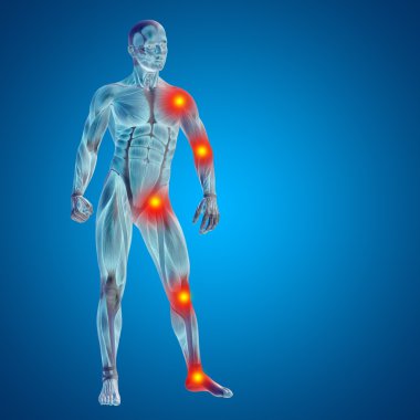 Anatomi tasarımlar için kaslı adam