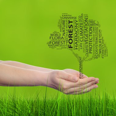 Concept or conceptual black ecology text word cloud tree in man or woman hand on green blur background and grass