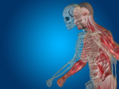 kavramsal insan adam