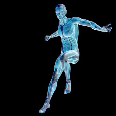 İnsan ya da kaslı adam