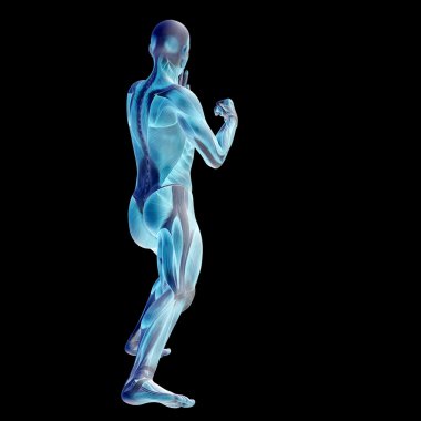 İnsan ya da kaslı adam