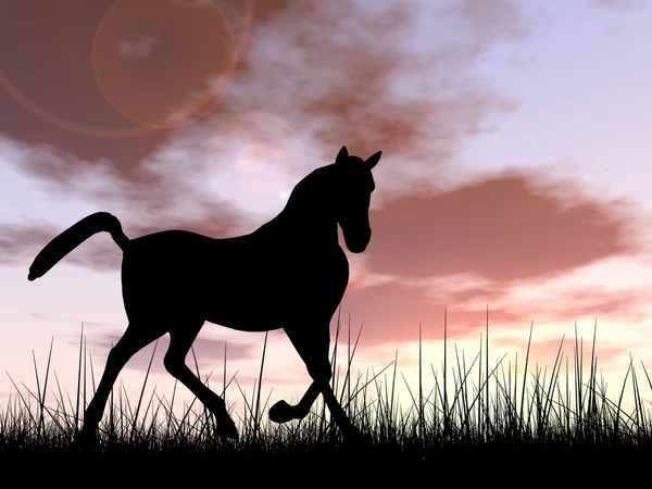 Concept ou conceptuel jeune belle silhouette de cheval noir dans l'herbe ou prairie sur un ciel au coucher du soleil paysage fond — Photo