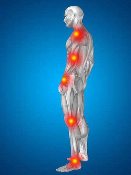 3D-mens of man met spieren voor anatomie of gezondheid ontwerpen met articulaire of bones pijn. Een man op blauwe achtergrond — Stockfoto