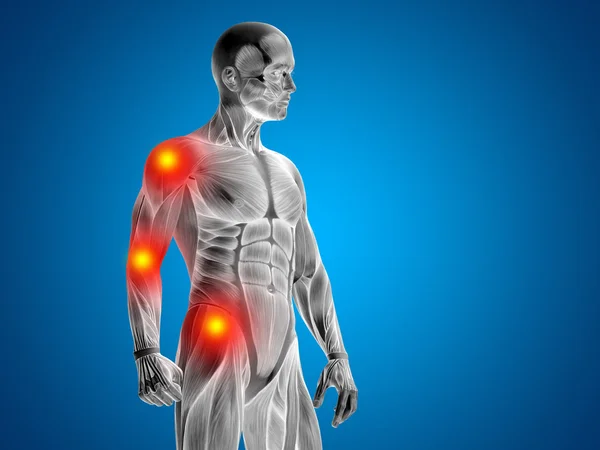 Kavramsal 3d insan anatomi üst beden veya sağlık tasarım, ortak ya da eklem ağrısı, ağrı ya da yaralanma mavi zemin üzerine — Stok fotoğraf