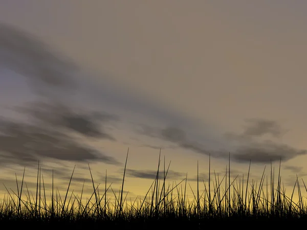 Conceptual black grass — Stock Photo, Image