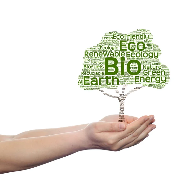 Koncept eller begreppsmässig gröna ekologi text word cloud träd i man eller kvinna hand isolerad på vit bakgrund — Stockfoto