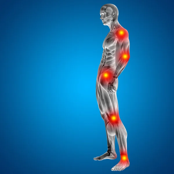 3D human or man with muscles for anatomy or health designs with articular or bones pain. A male on blue background — Stock Photo, Image