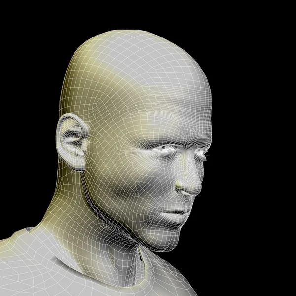 Concepto o conceptual 3D wireframe joven hombre o hombre cara o cabeza aislada en el fondo — Foto de Stock