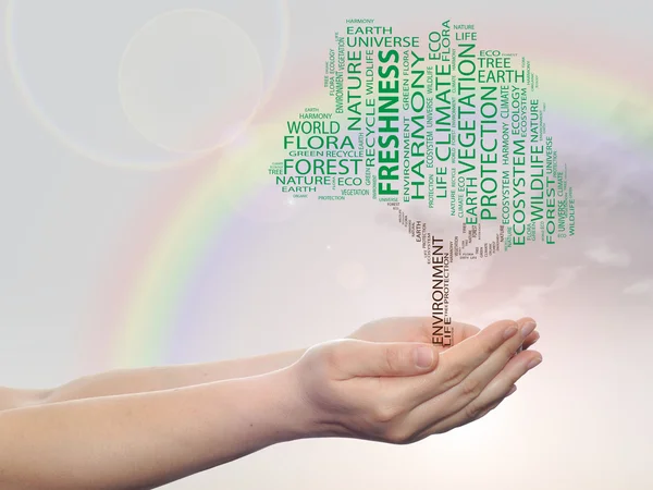 Concept or conceptual green ecology text word cloud tree in man or woman hand on rainbow sky background — Stock Photo, Image