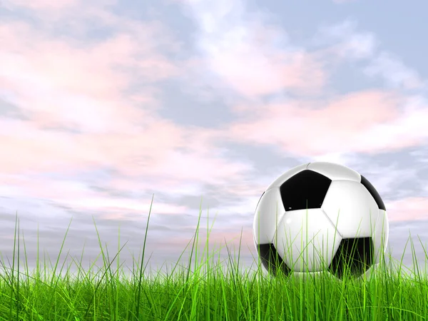 Koncept eller konceptuell 3d fotboll på färska gröna sommaren eller våren fältet gräset med en blå himmel bakgrund — Stockfoto