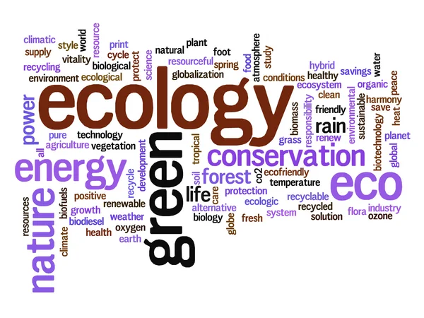 Concepto o resumen conceptual ecología verde o palabra energía y conservación nube texto aislado sobre fondo — Foto de Stock