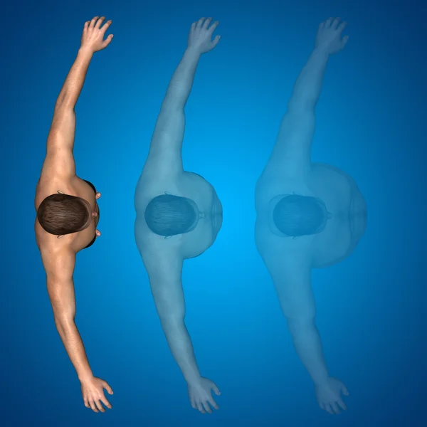 Концепція або концептуальний 3D жир надмірна вага проти тонкої дієти з м'язами молодий чоловік синій градієнтний фон — стокове фото