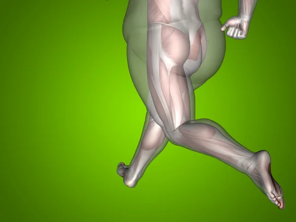 Concept of conceptuele 3d vet overgewicht vs slim fit dieet met spieren jonge man groene achtergrond met kleurovergang — Stockfoto