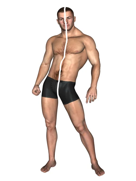 Koncept eller konceptuell 3d stark ung manlig man bodybuilder före och efter isolerade på vit bakgrund — Stockfoto