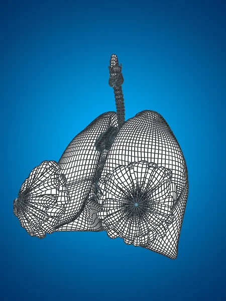 Mesh respiratory system — Stock Photo, Image