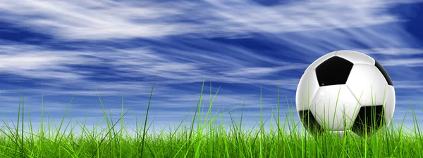 Bola de fútbol 3D conceptual o conceptual en hierba verde fresca de verano o campo de primavera con una pancarta de fondo de cielo azul — Foto de Stock