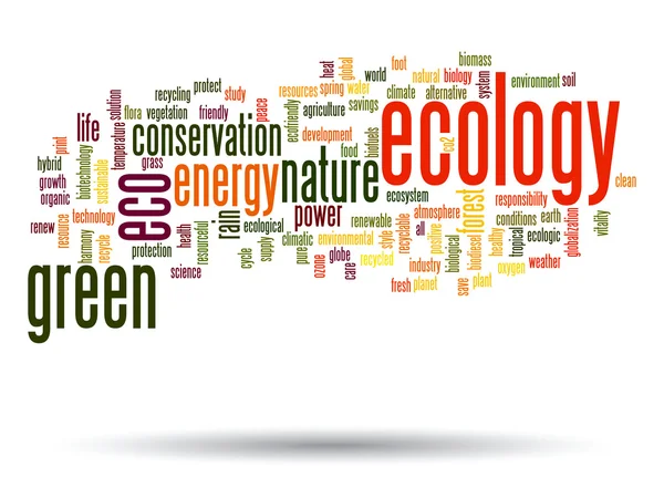 Koncept eller begreppsmässig abstrakt grön ekologi eller energi och bevarande word cloud text isolerad på bakgrunden — Stockfoto